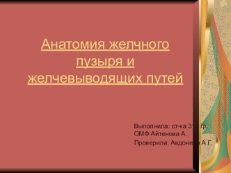 Анатомия желчного пузыря и желчевыводящих путей