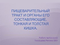 Пищеварительный тракт и органы его пищеварения