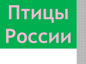 Птицы России