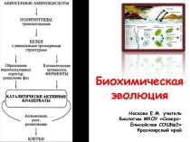 Биохимическая эволюция