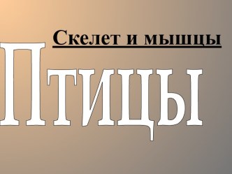 Птицы. Скелет и мышцы