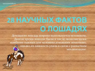 28 научных фактов о лошадях