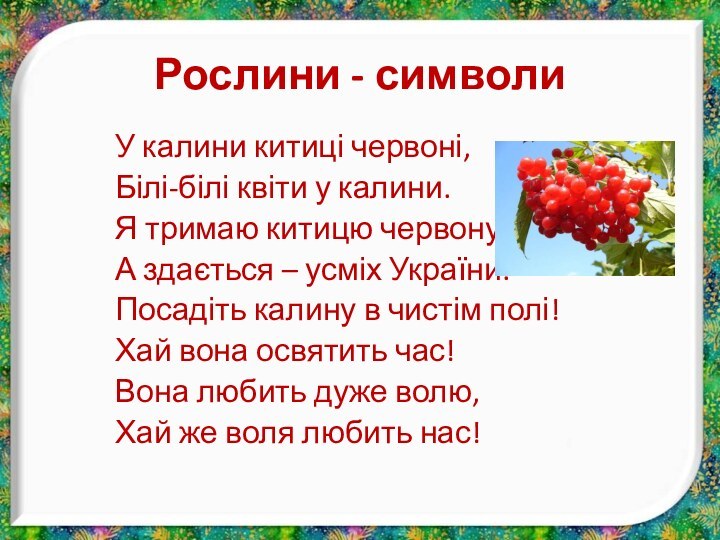 У калини китиці червоні,		Білі-білі квіти у калини. 			Я тримаю китицю червону, 		А