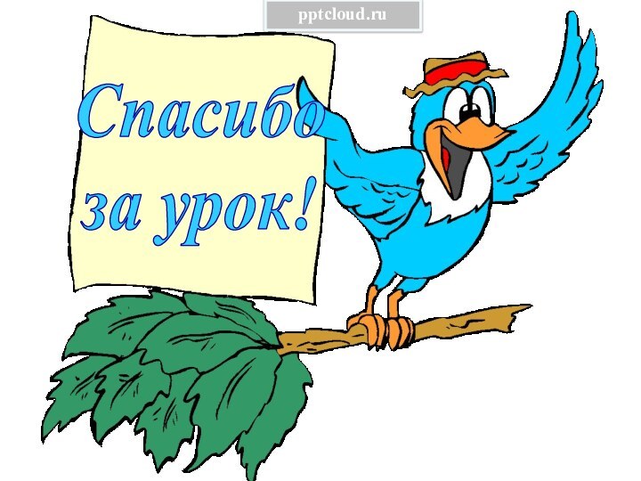 Спасибоза урок!