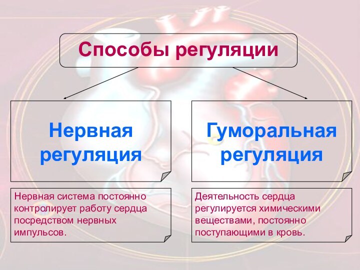 Способы регуляции