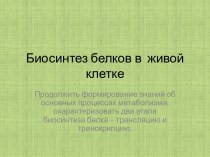 Биосинтез белков в живой клетке