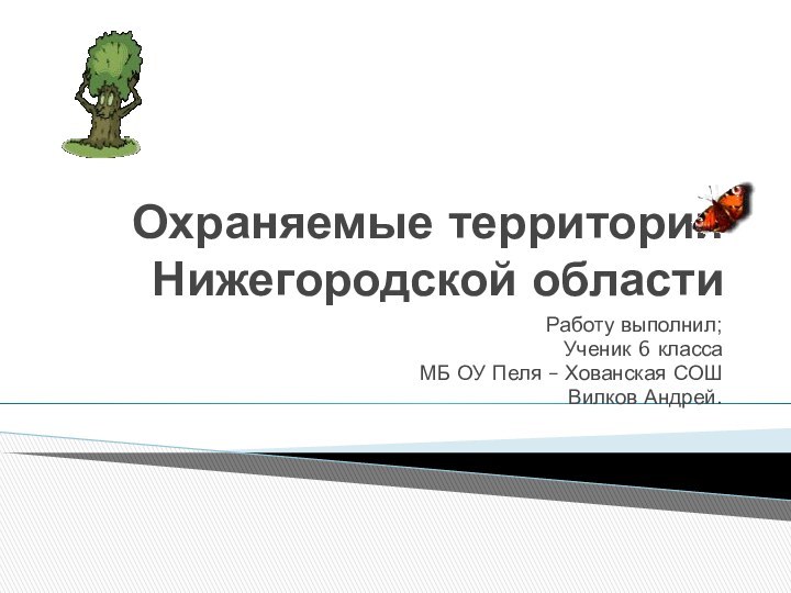 Охраняемые территории Нижегородской областиРаботу выполнил;Ученик 6 класса МБ ОУ Пеля – Хованская СОШВилков Андрей.