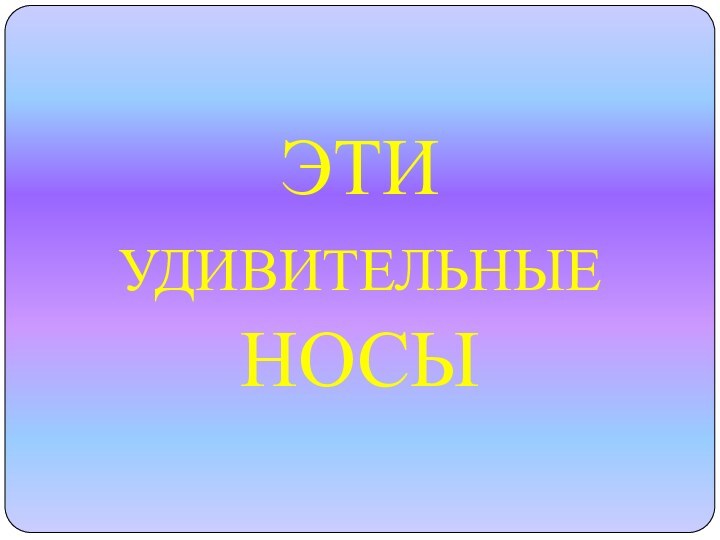 ЭТИ УДИВИТЕЛЬНЫЕ НОСЫ