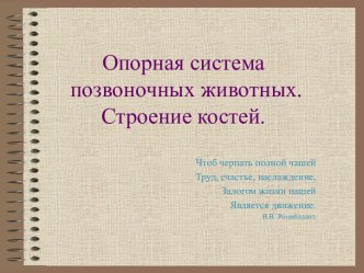 Опорная система позвоночных животных. Строение костей