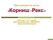 Корниш-Рекс