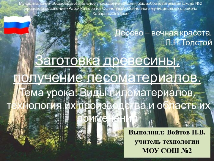 Дерево – вечная красота. Л.Н.ТолстойВыполнил: Войтов Н.В.учитель технологии МОУ СОШ №2Заготовка древесины,