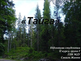 Тайга— цебіомхвойнихлісівпомірного та частковосубарктичного поясу Північноїпівкулі. Тайга займаєбільшучастинуКанади, Швеції, Фінляндії, Норвегії та Росії (особливо Сибіру), частину Аляски, північно-східного Китаю, крайнійпівнічнийсхідЕстонії, а такождеяки