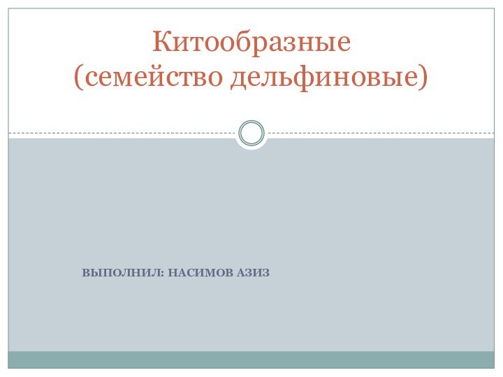 Выполнил: Насимов АзизКитообразные  (семейство дельфиновые)