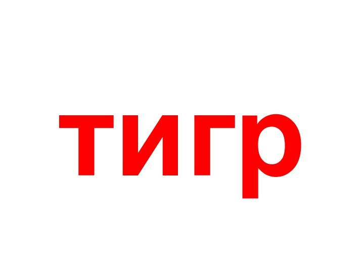 тигр