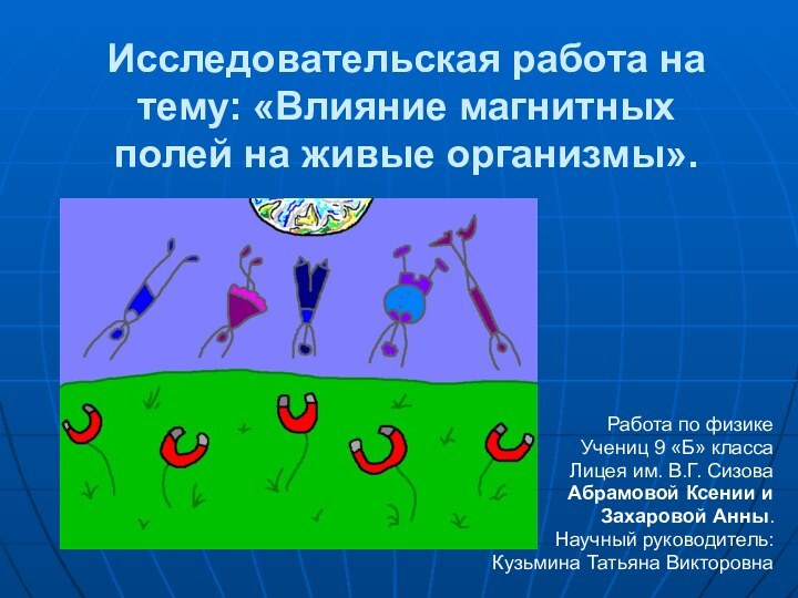 Исследовательская работа на тему: «Влияние магнитных полей на живые организмы».Работа по физикеУчениц