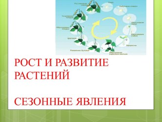 Рост и развитие растений