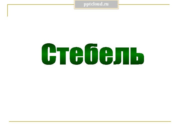 Стебель