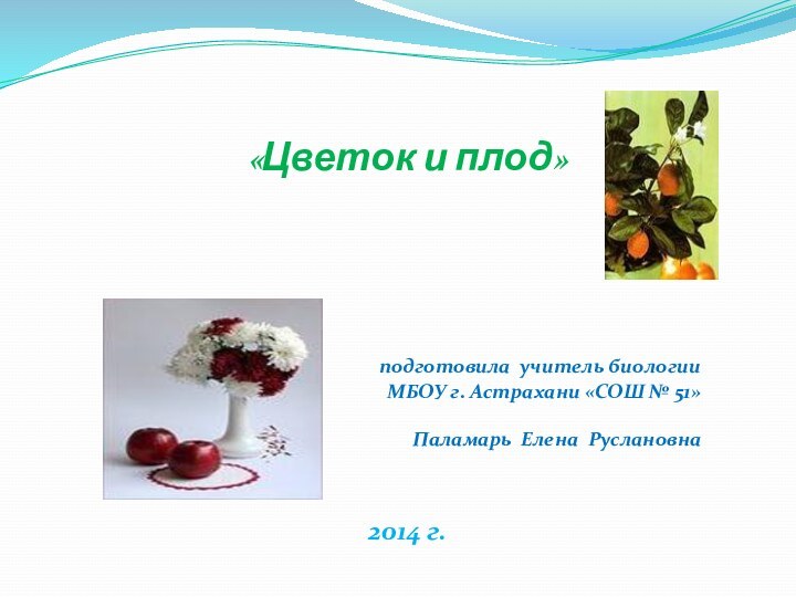 «Цветок и плод» подготовила учитель биологии МБОУ г. Астрахани «СОШ № 51»Паламарь Елена Руслановна2014 г.