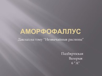 Аморфофаллус