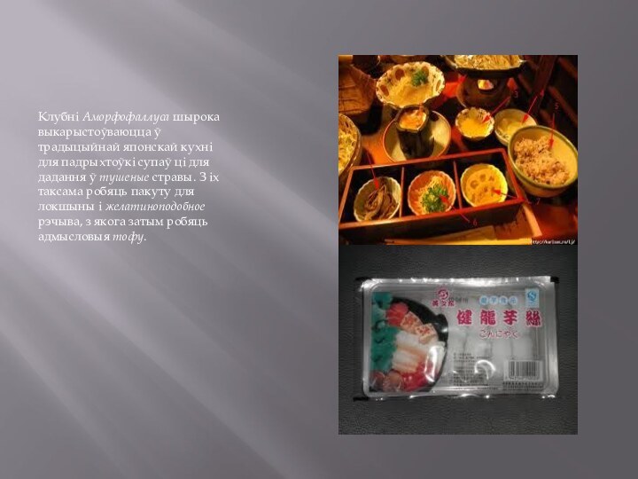 Клубні Аморфофаллуса шырока выкарыстоўваюцца ў традыцыйнай японскай кухні для падрыхтоўкі супаў ці