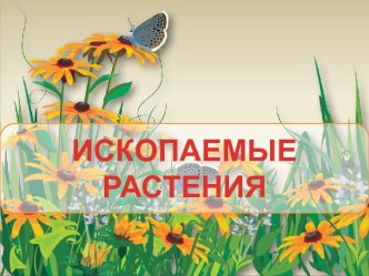 Ископаемые растения