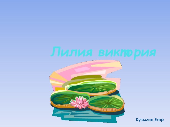 Лилия викторияКузьмин Егор