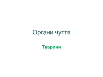 Органи чуття