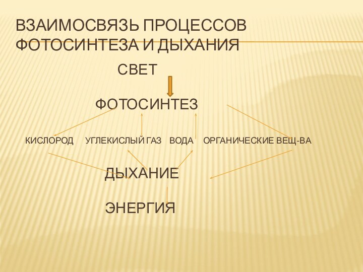 Взаимосвязь процессов фотосинтеза и дыхания