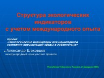 Структура экологических индикаторов с учетом международного опыта