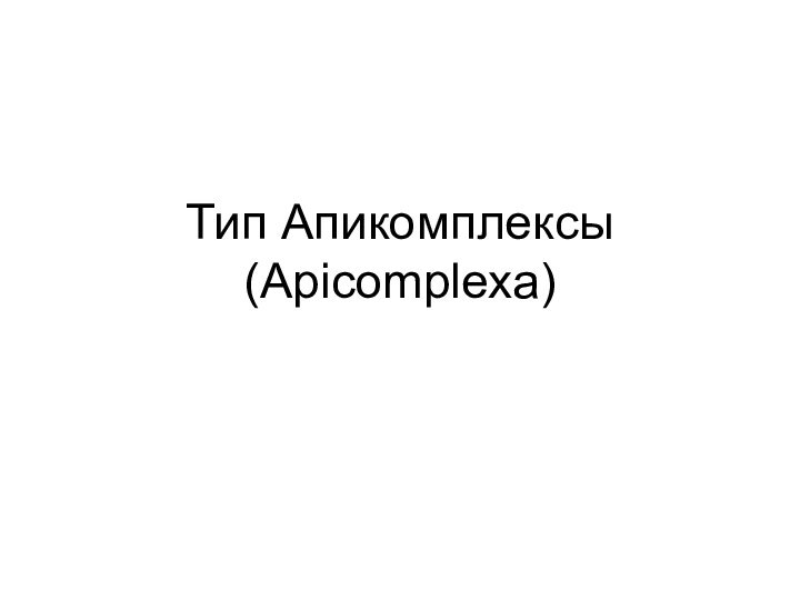 Тип Апикомплексы (Apicomplexa)