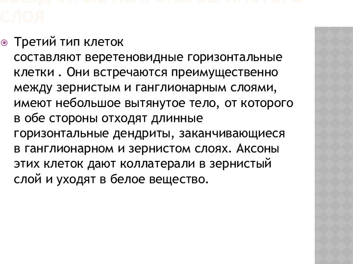 Третий тип клеток составляют веретеновидные горизонтальные клетки . Они встречаются преимущественно между зернистым и