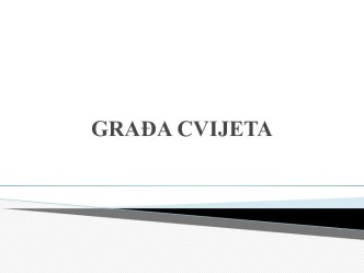 GraĐa cvijeta