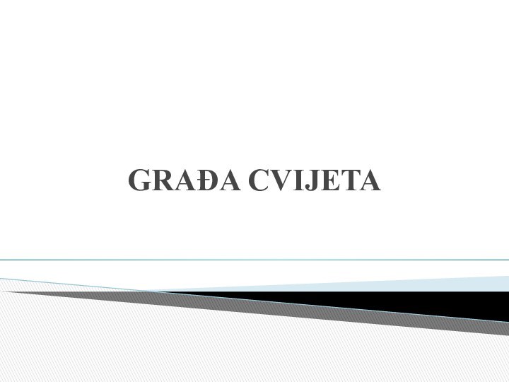 GRAĐA CVIJETA