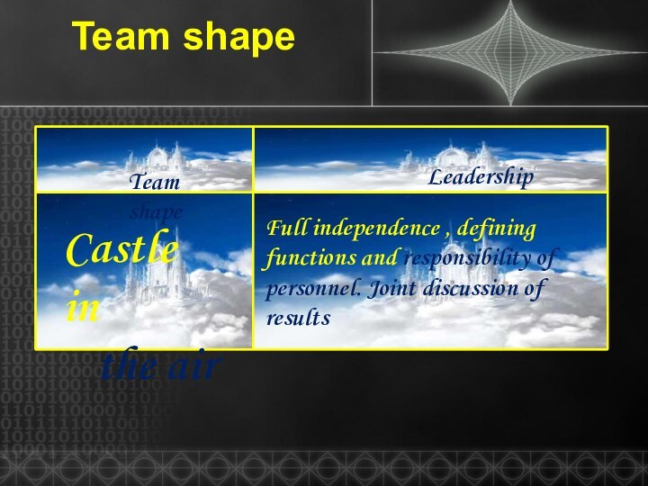 Team shapeLeadership style Castle in the airFull independence , defining functions and