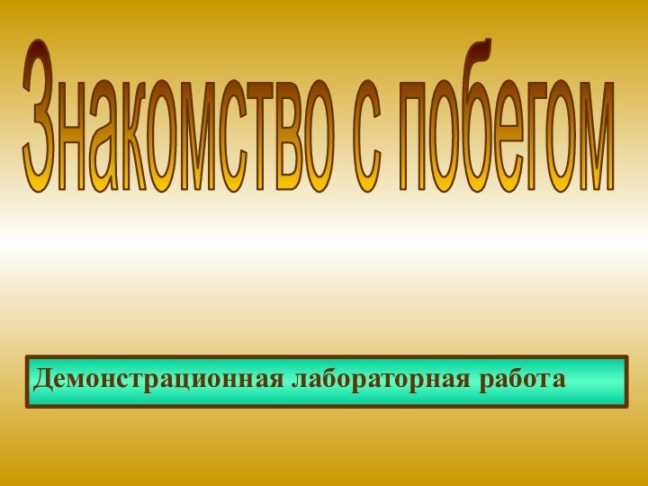 Демонстрационная лабораторная работаЗнакомство с побегом