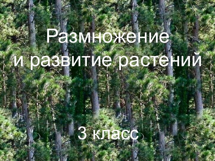 Размножение и развитие растений3 класс