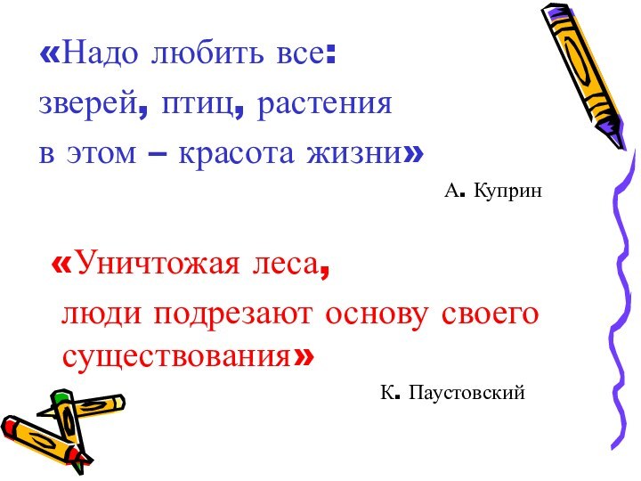 «Надо любить все: зверей, птиц, растения в этом – красота жизни»