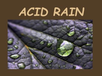 ACID RAIN