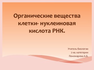 Органические вещества клетки- нуклеиновая кислота РНК