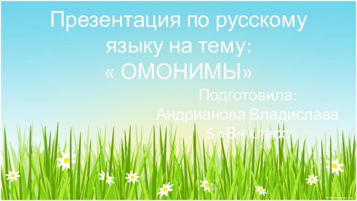 Презентация по русскому языку на тему: « ОМОНИМЫ»Подготовила: Андрианова Владислава 5 «В» класс