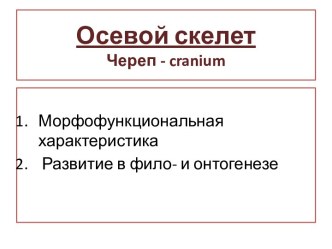 Осевой скелет Череп - cranium