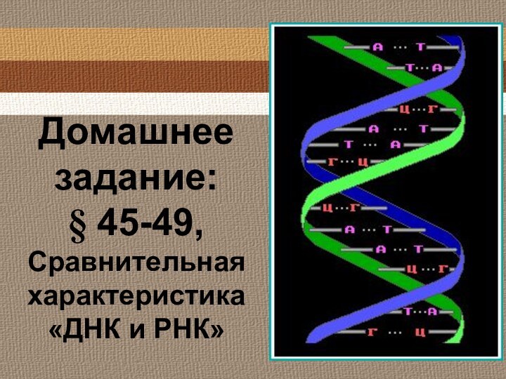 Домашнее задание:§ 45-49, Сравнительная характеристика «ДНК и РНК»