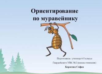 Ориентирование по муравейнику