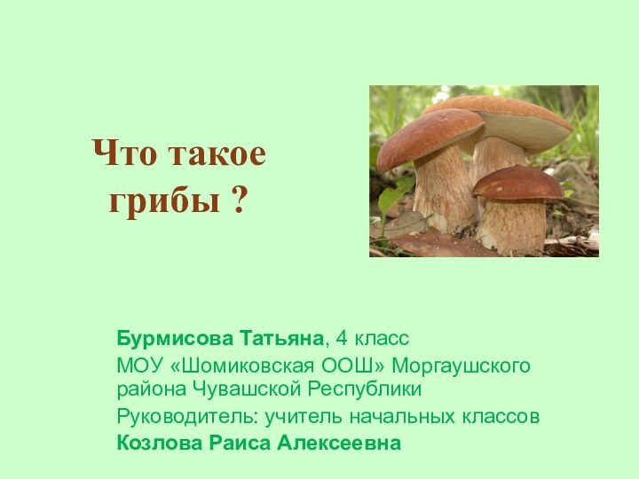 Бурмисова Татьяна, 4 классМОУ «Шомиковская ООШ» Моргаушского района Чувашской РеспубликиРуководитель: учитель начальных