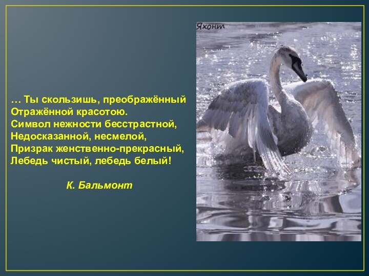 … Ты скользишь, преображённыйОтражённой красотою.Символ нежности бесстрастной,Недосказанной, несмелой, Призрак женственно-прекрасный,Лебедь чистый, лебедь белый!						К. Бальмонт