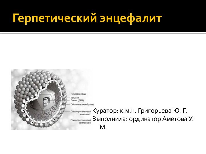 Герпетический энцефалитКуратор: к.м.н. Григорьева Ю. Г.Выполнила: ординатор Аметова У.М.