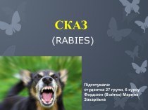 СКАЗ(rabies)