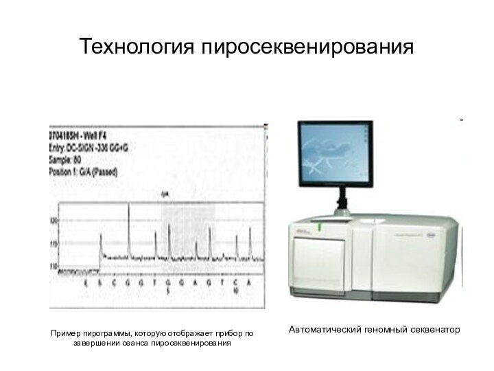 Технология пиросеквенированияАвтоматический геномный секвенаторПример пирограммы, которую отображает прибор по завершении сеанса пиросеквенирования