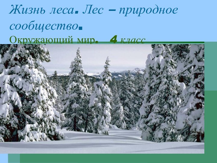 Жизнь леса. Лес – природное сообщество. Окружающий мир.  4 класс