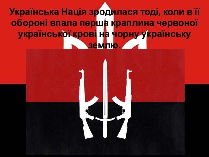 Українська Нація зродилася тоді, коли в її обороні впала перша краплина червоної